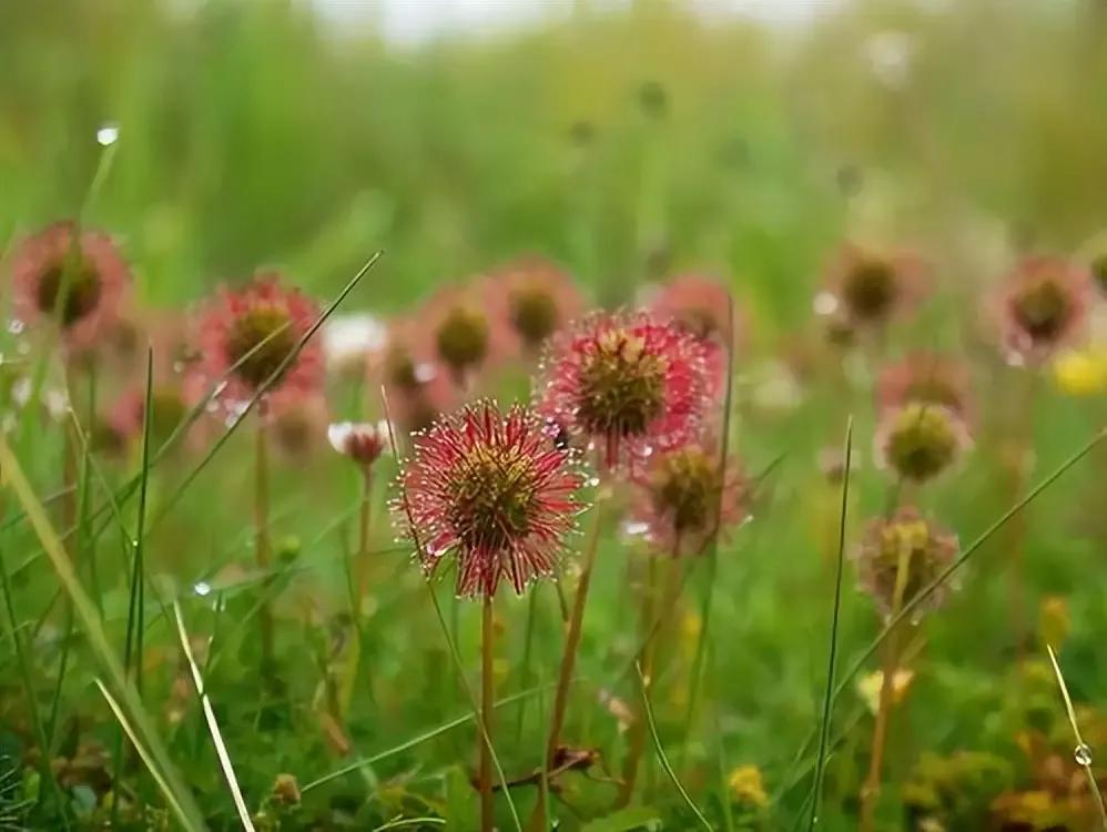 留在心底的声音中考满分作文600字,留在心里的声音中考满分作文