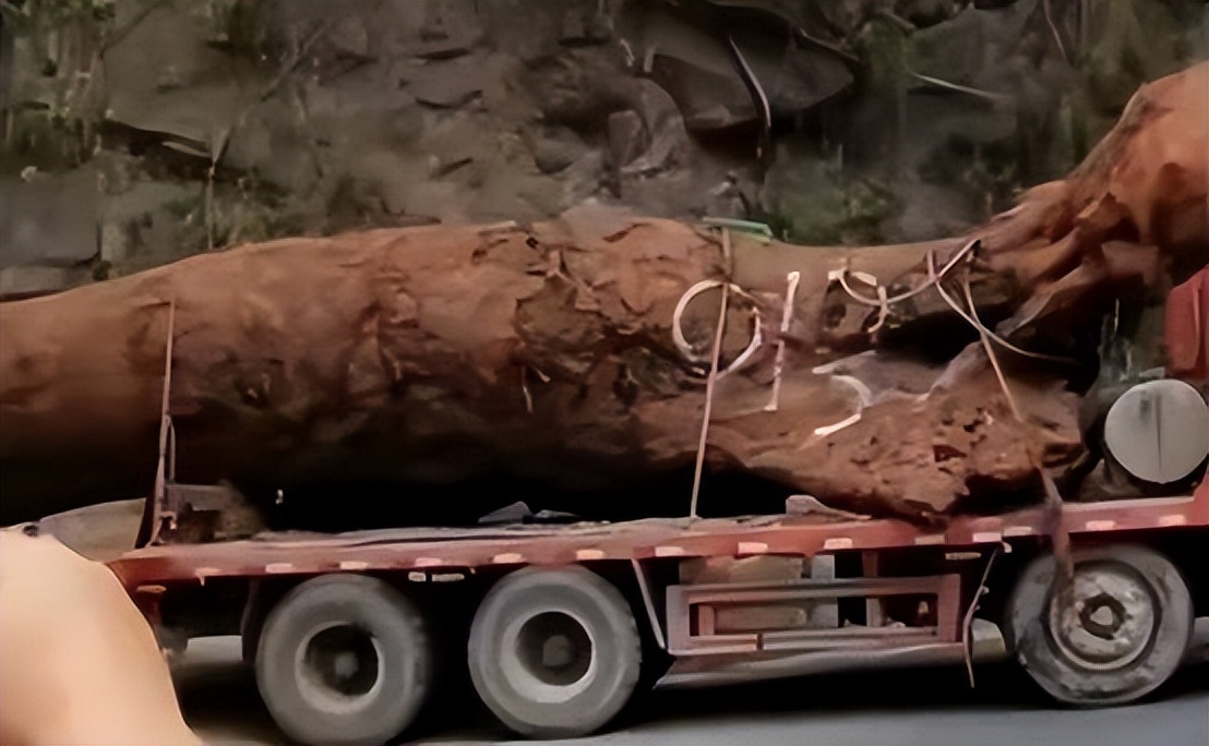 四川挖到天价乌木纪录片,四川农民发现天价乌木实拍