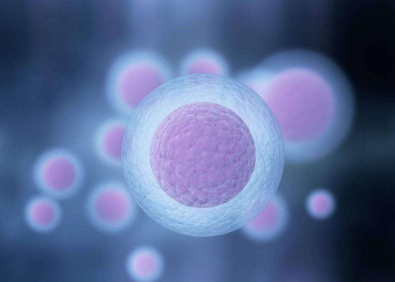 准备备孕,如何更准确的进行排卵监测?