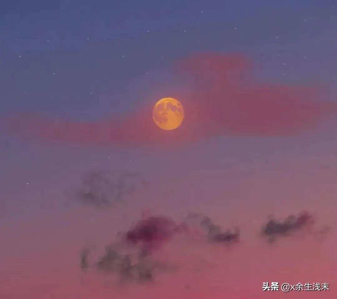 五月诗歌,五月的伤感诗歌