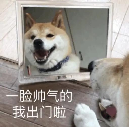 狗狗老是扒拉我怎么回事,狗狗用手老是扒拉主人啥意思