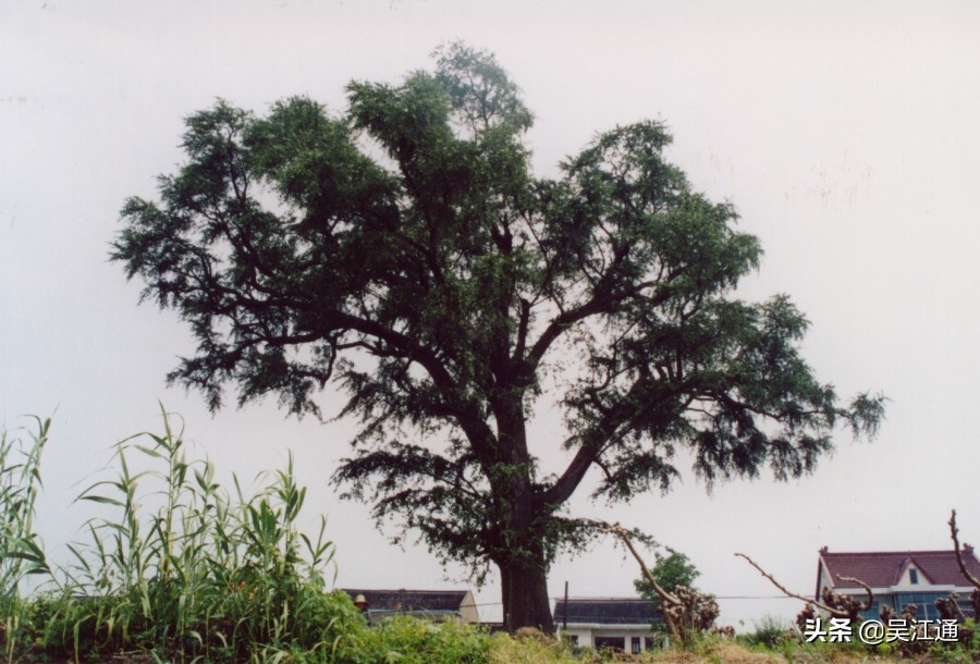 横扇,话说长空栈道
