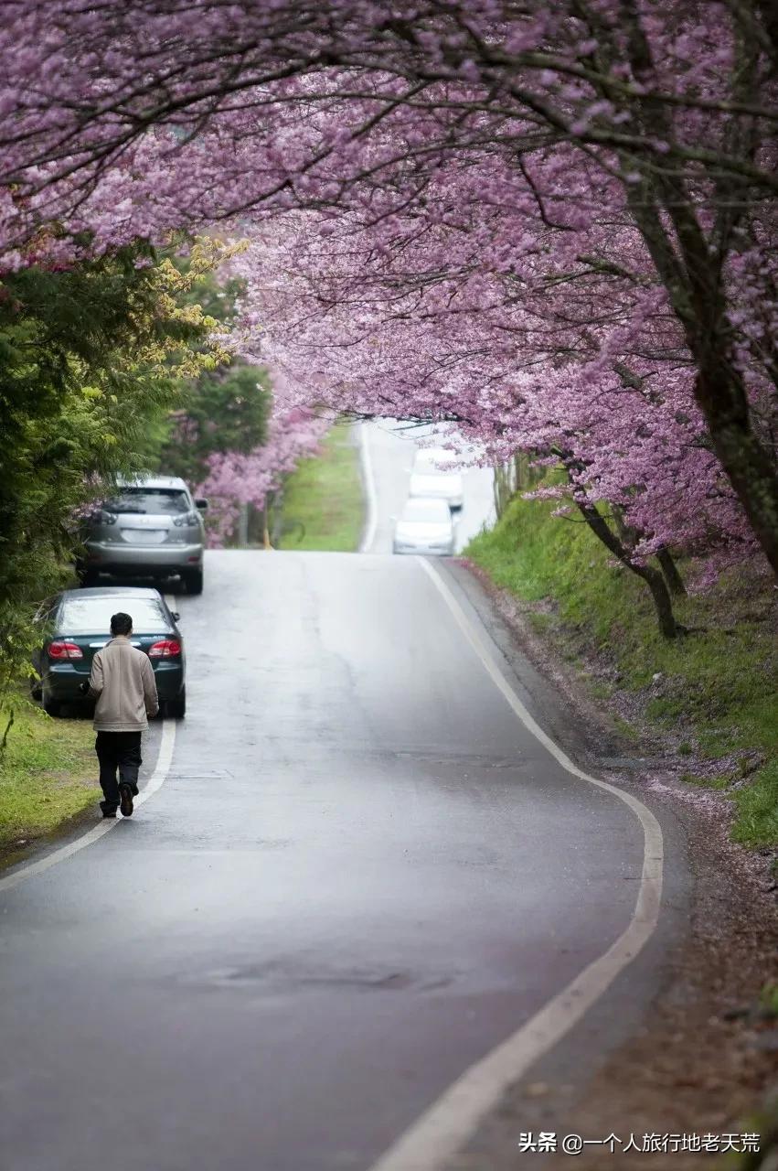 赴台旅游暂停两年后,我想带你重新认识中国台湾