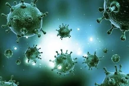 弯曲杆菌在什么地方有,弯曲杆菌有什么用