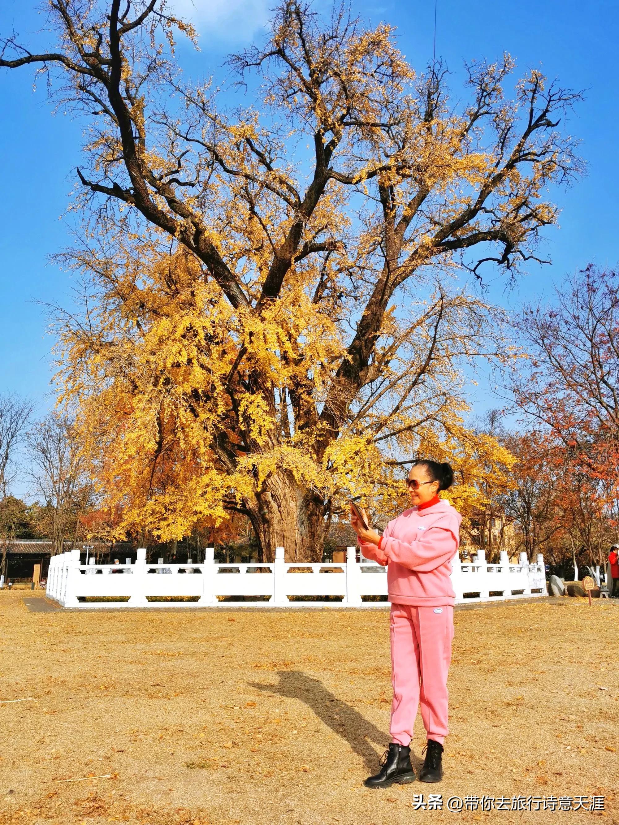 南京小众旅游景点攻略,南京小众景点古村落