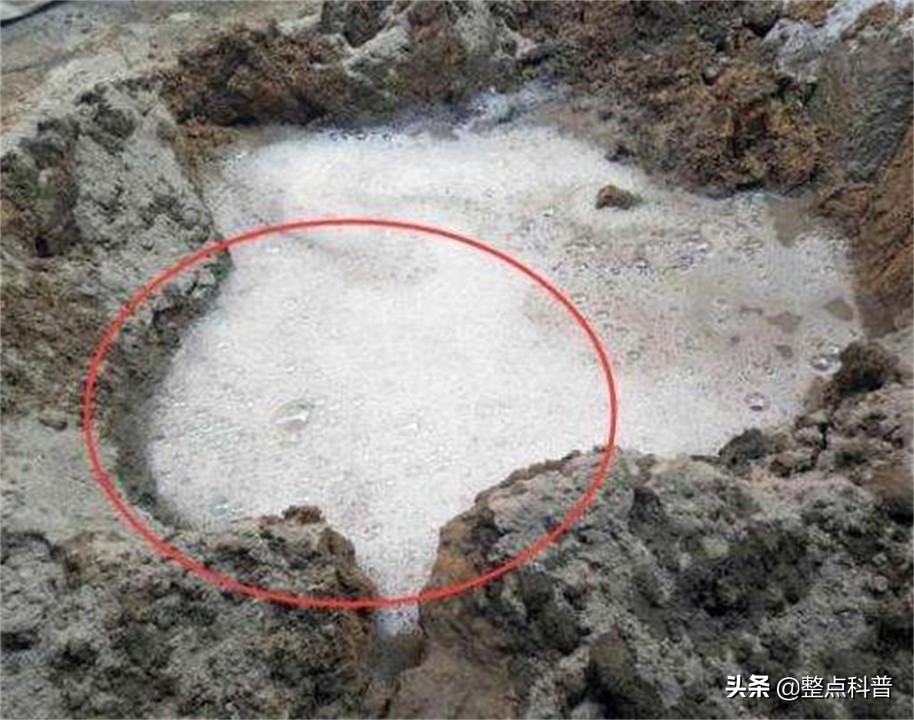 为什么工人往水泥加糖,白糖能阻止水泥硬化这是真的吗