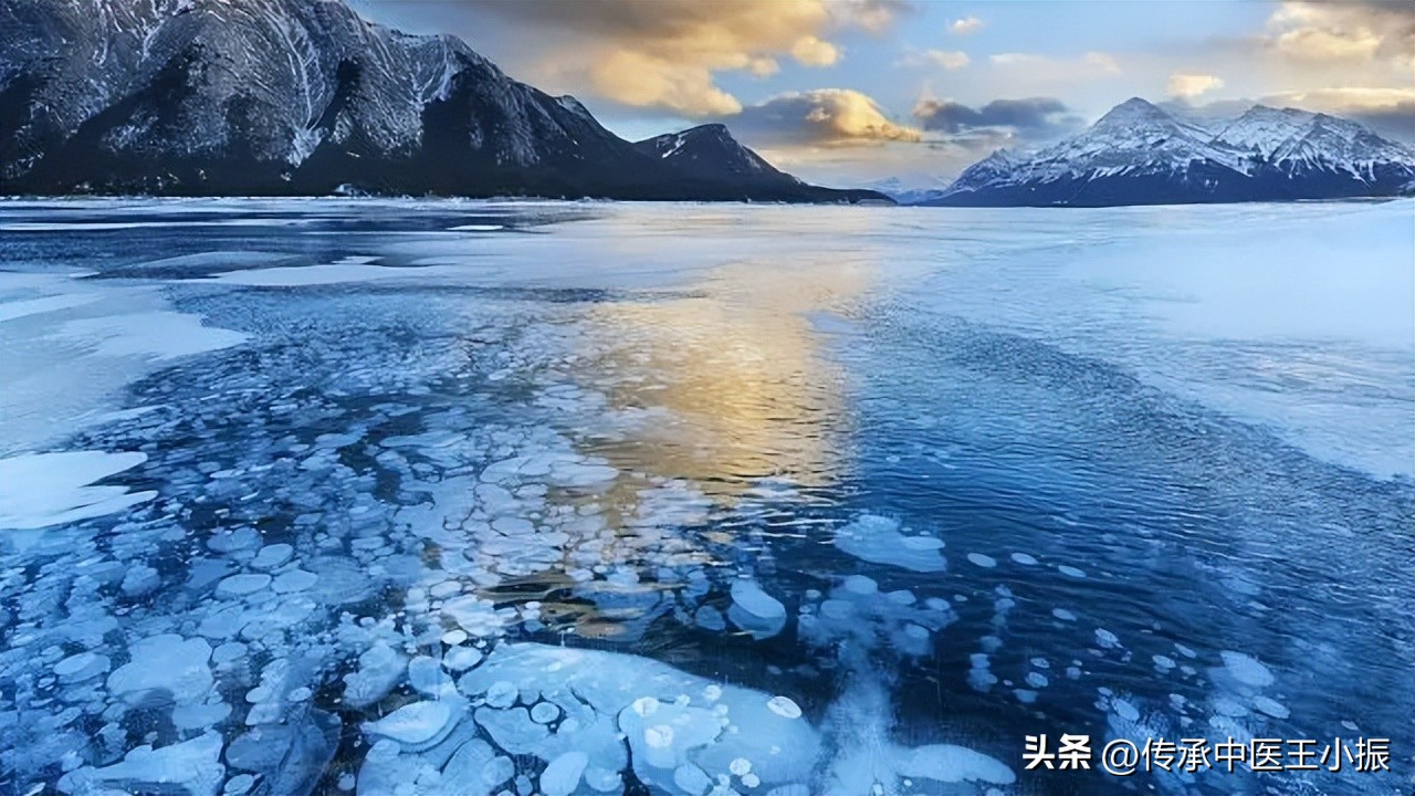 寒热舌诊图解大全,如何看舌象判断疾病准确用药