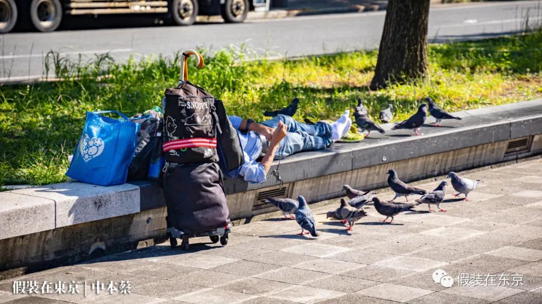 365张照片回顾,365张相片