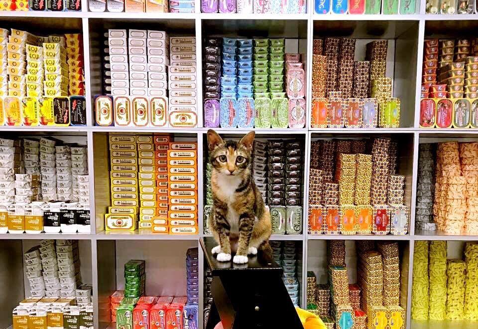 一定要去澳门的七个地方 (到澳门必须去的几个地方)