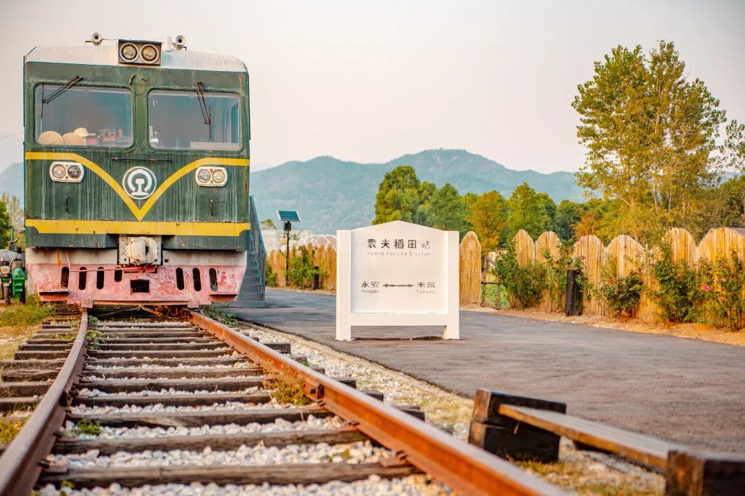 袁夫稻田：千亩诗意田园种出文创“网红”