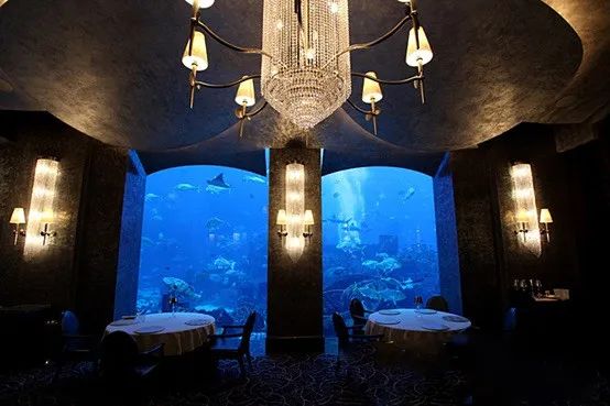 造价500万美元的海底餐厅！开一瓶5.2万美元的水晶香槟