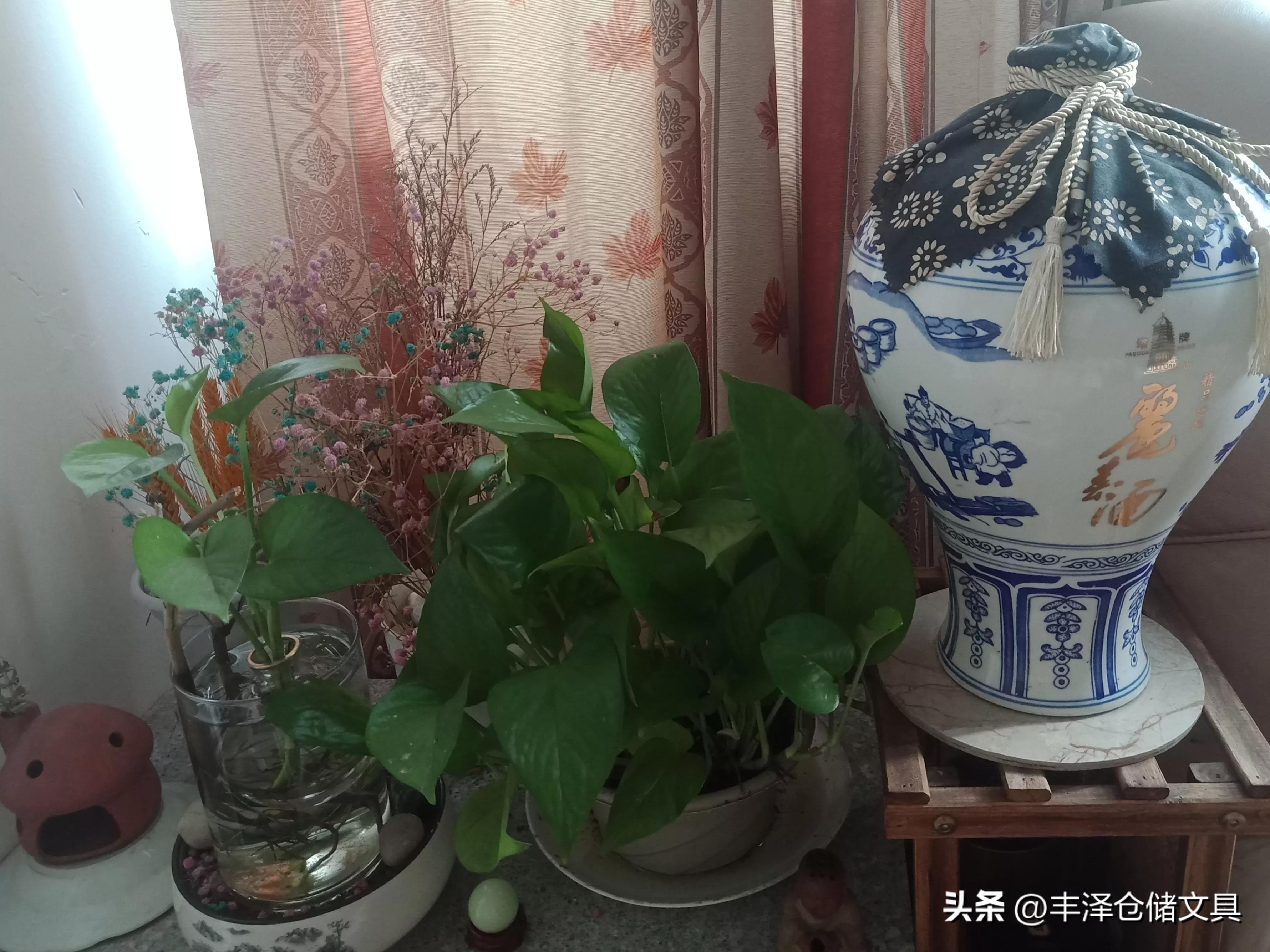 其实有时候你需要的是不离不弃,不离不弃的另外一种表达方式