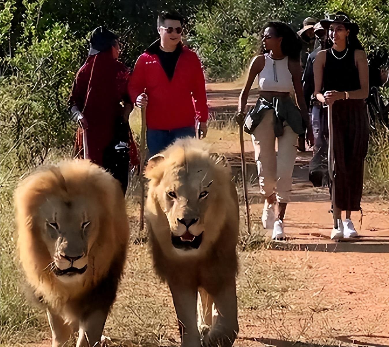 王垚生活助理,王垚乌干达豪宅