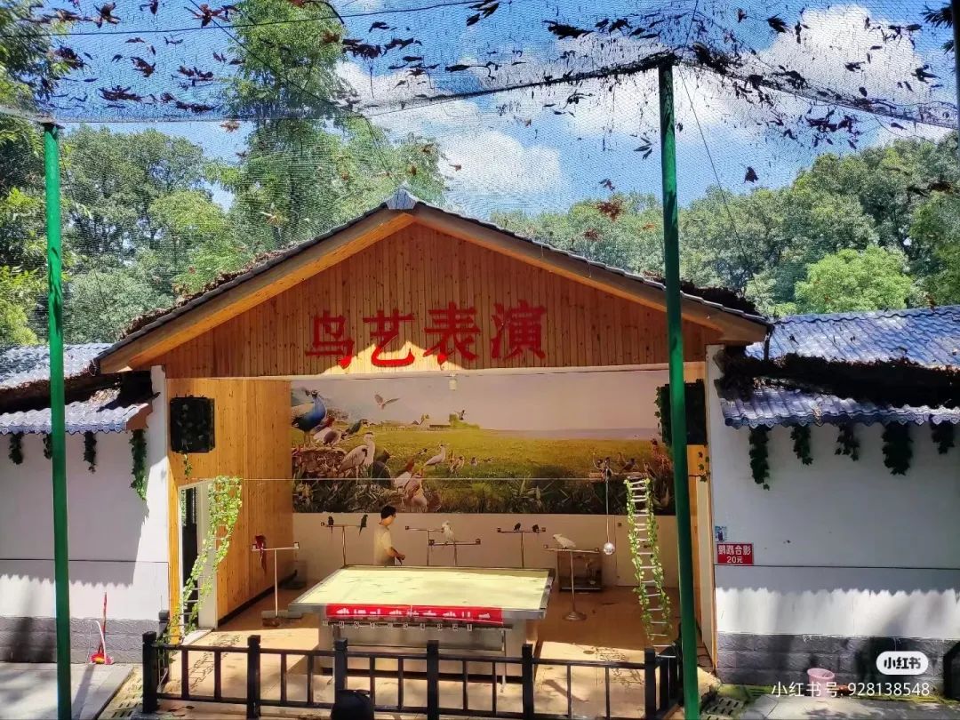 信阳南湾湖一日游详细攻略,信阳三日游攻略