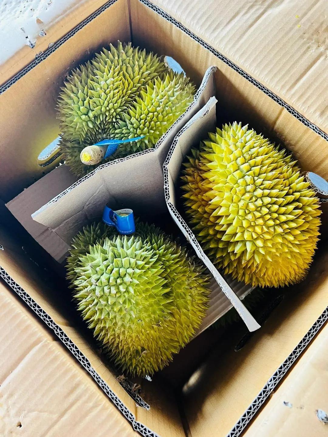 卖榴莲的利润大概是多少,摆摊卖榴莲有百分之多少的利润