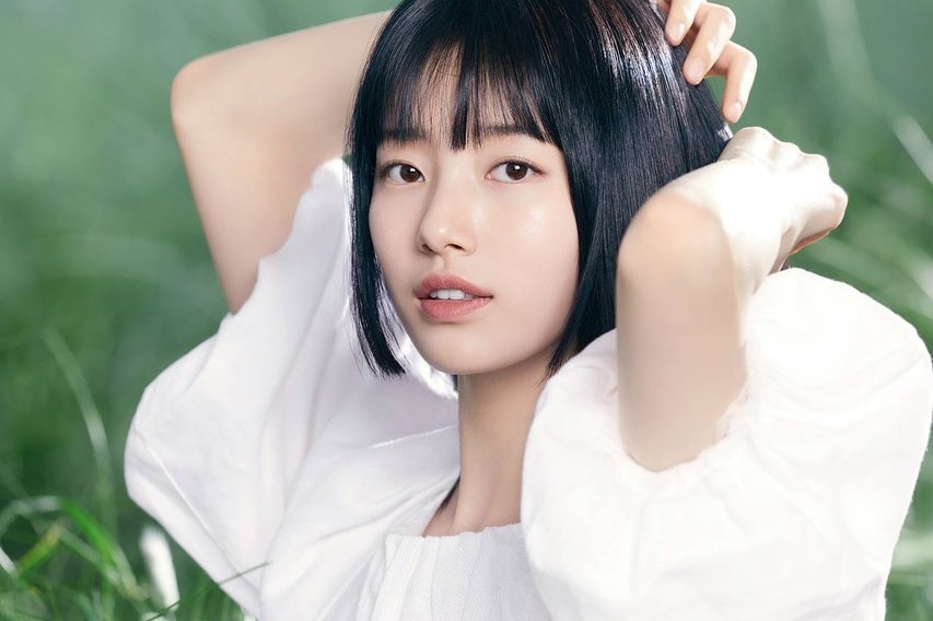 娱乐圈的白月光们有哪些共同点,娱乐圈白月光有哪些