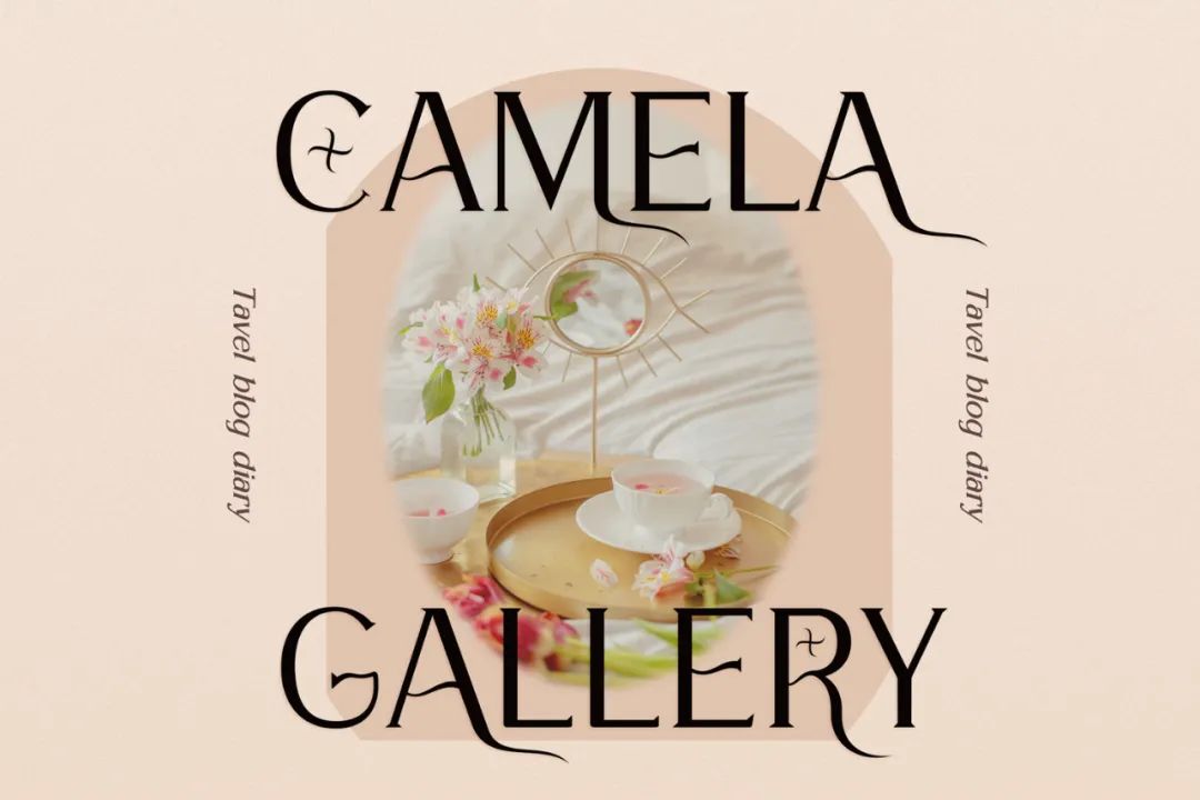 ttf纯英文好看字体,ttf英文字体