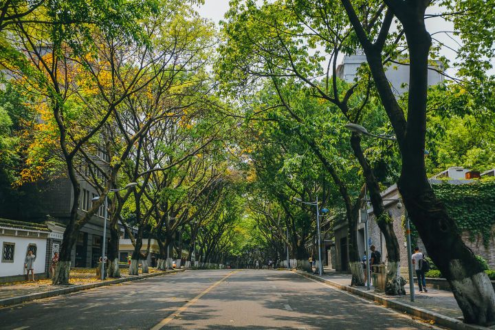 重庆主城小众打卡地,重庆周边小众自驾旅游