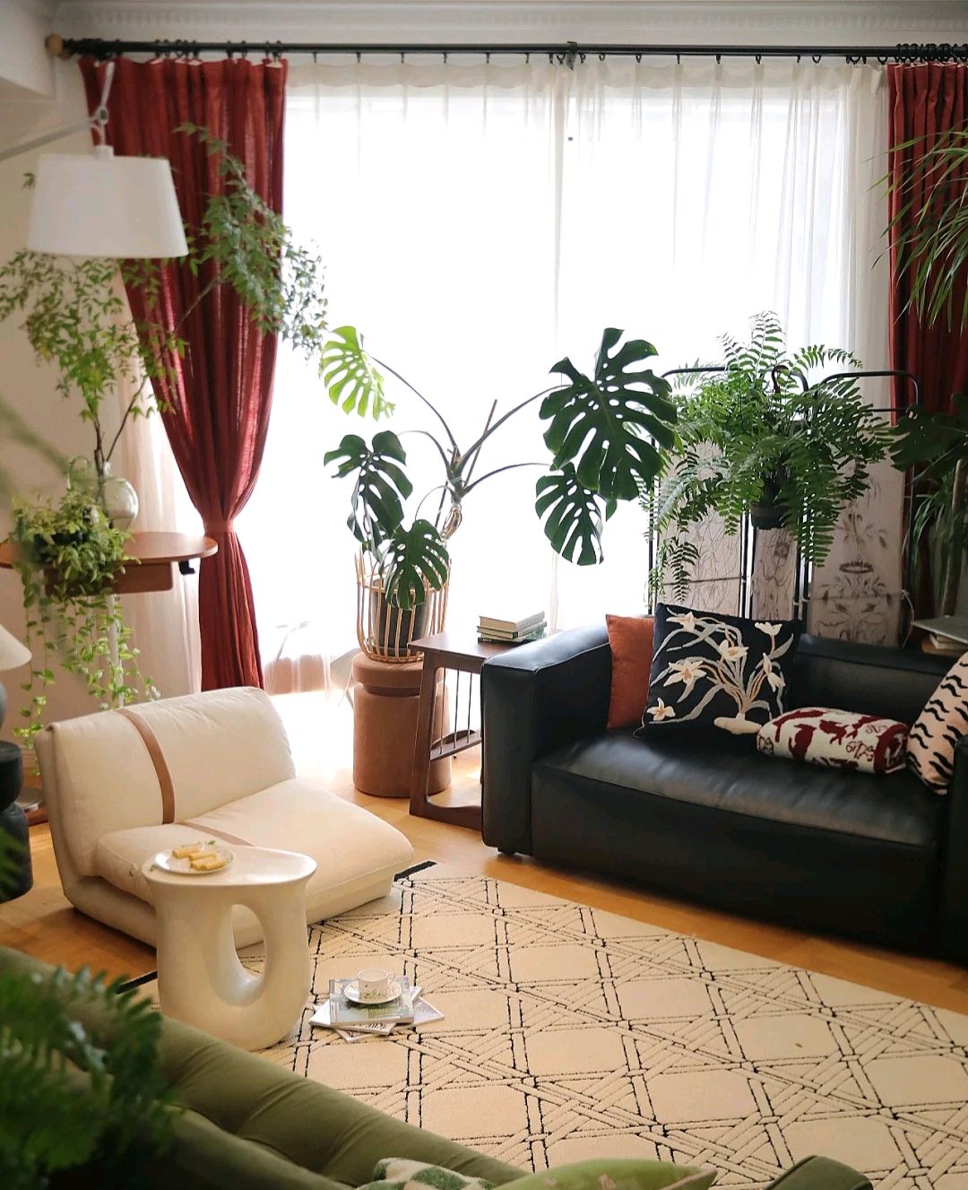 客厅适合的花草,适合客厅的花草