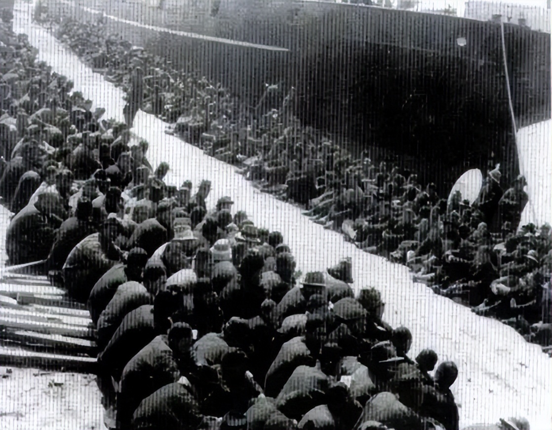 中国农民抓到日本士兵会怎样处置,抗日战争时农民被日本人抓住