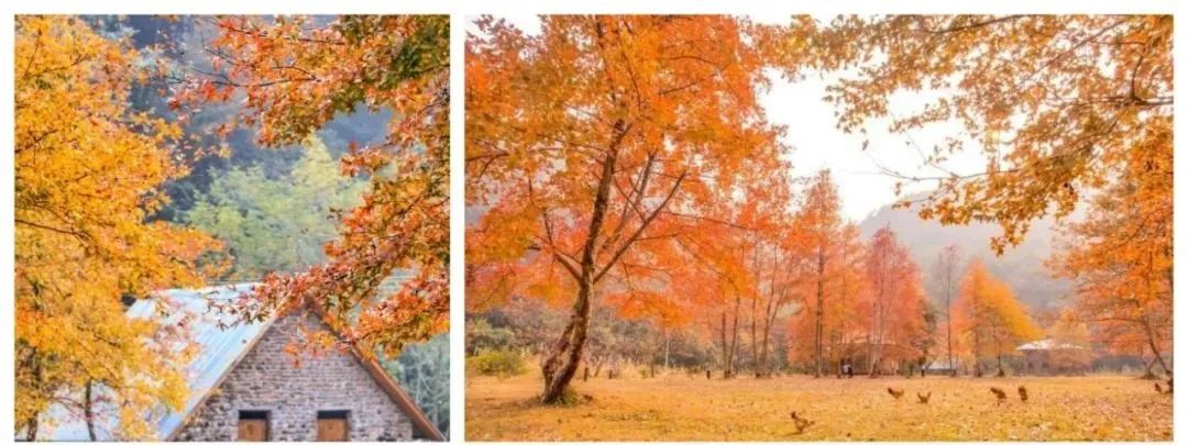 丹霞山阳元石风光,丹霞山那奇妙的景观