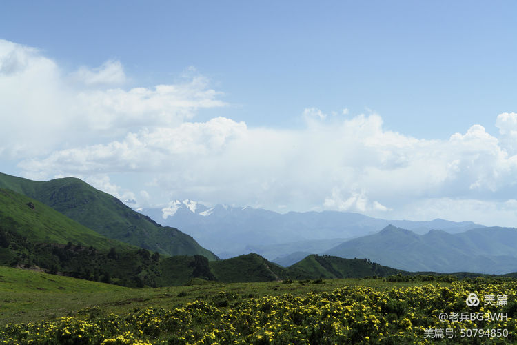 祁连山草原哪里最美,祁连山深处草原