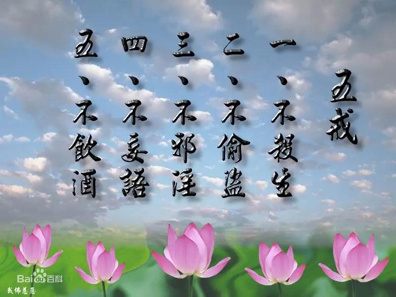 猪八戒叫悟能是什么意思,西游记猪悟能的优点