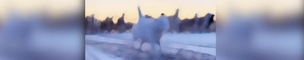 中国的反击!美国通过打击中企法案后,中方继续对美征收反倾销税