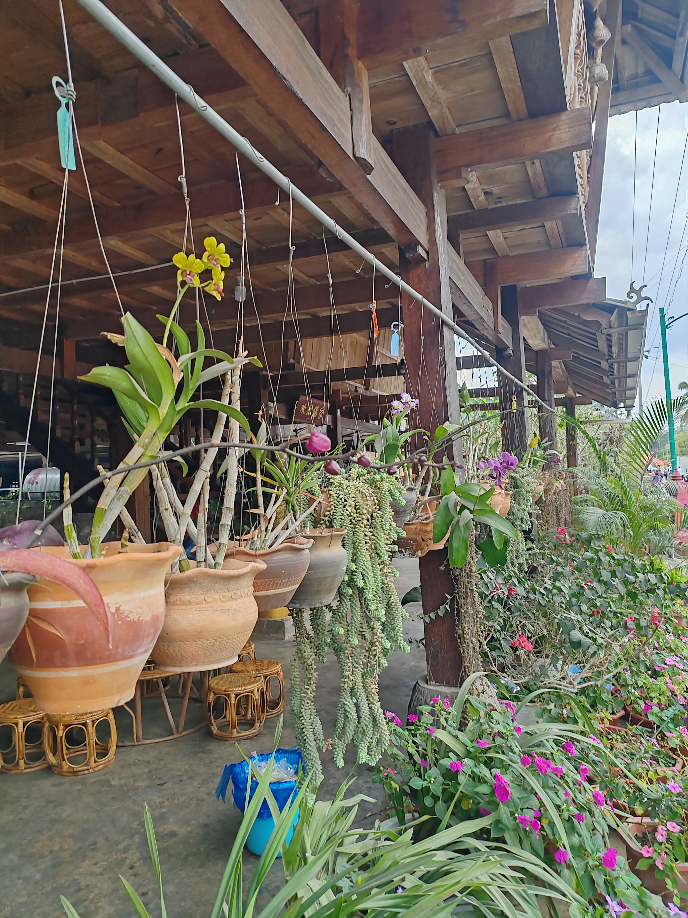 西双版纳傣族村寨和傣族园,西双版纳美丽的傣族园