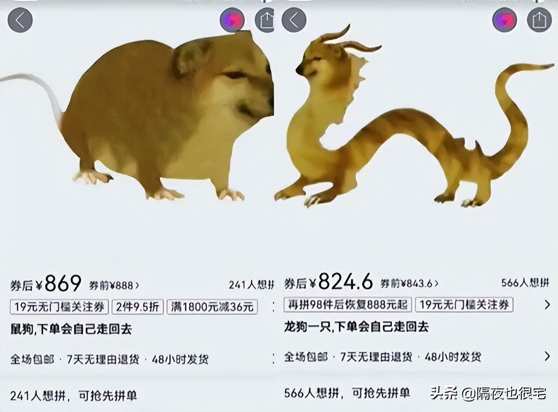 拼多多上一直不发货的店是空店吗,拼多多不发货的东西但会给优惠券