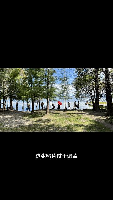 手机版最强大的后期修图神器,苹果神仙修图软件免费