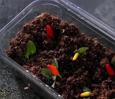 快速晒鞋子的方法,晒鞋子的技巧视频