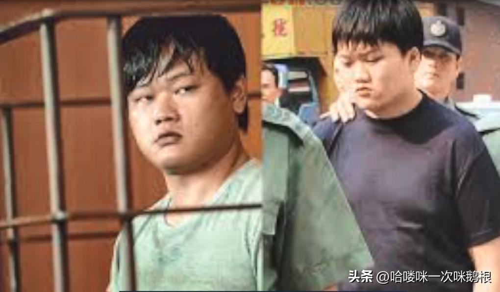 花季少女惨遭分尸案,16岁少女杀人分尸案