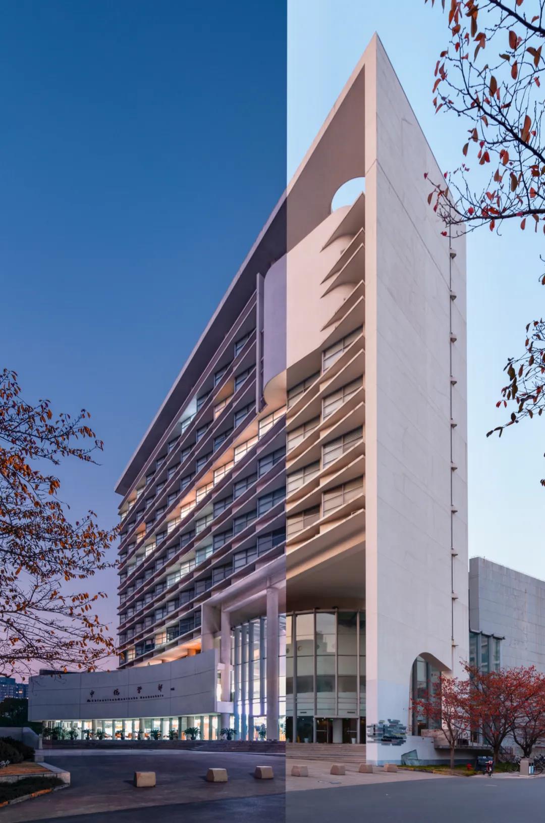 同济大学有多漂亮,同济大学的浪漫