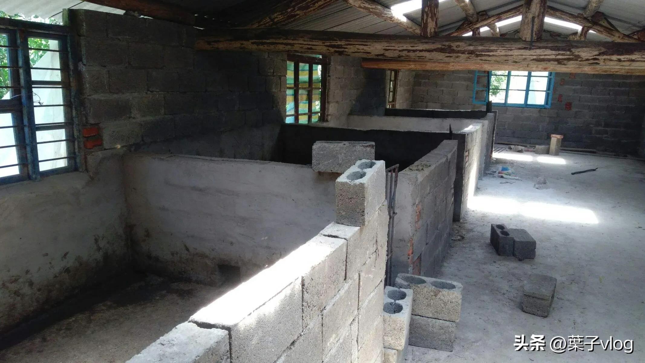 千万不要做养殖,这个行业不是什么人都能做好的,搞不好亏大钱。