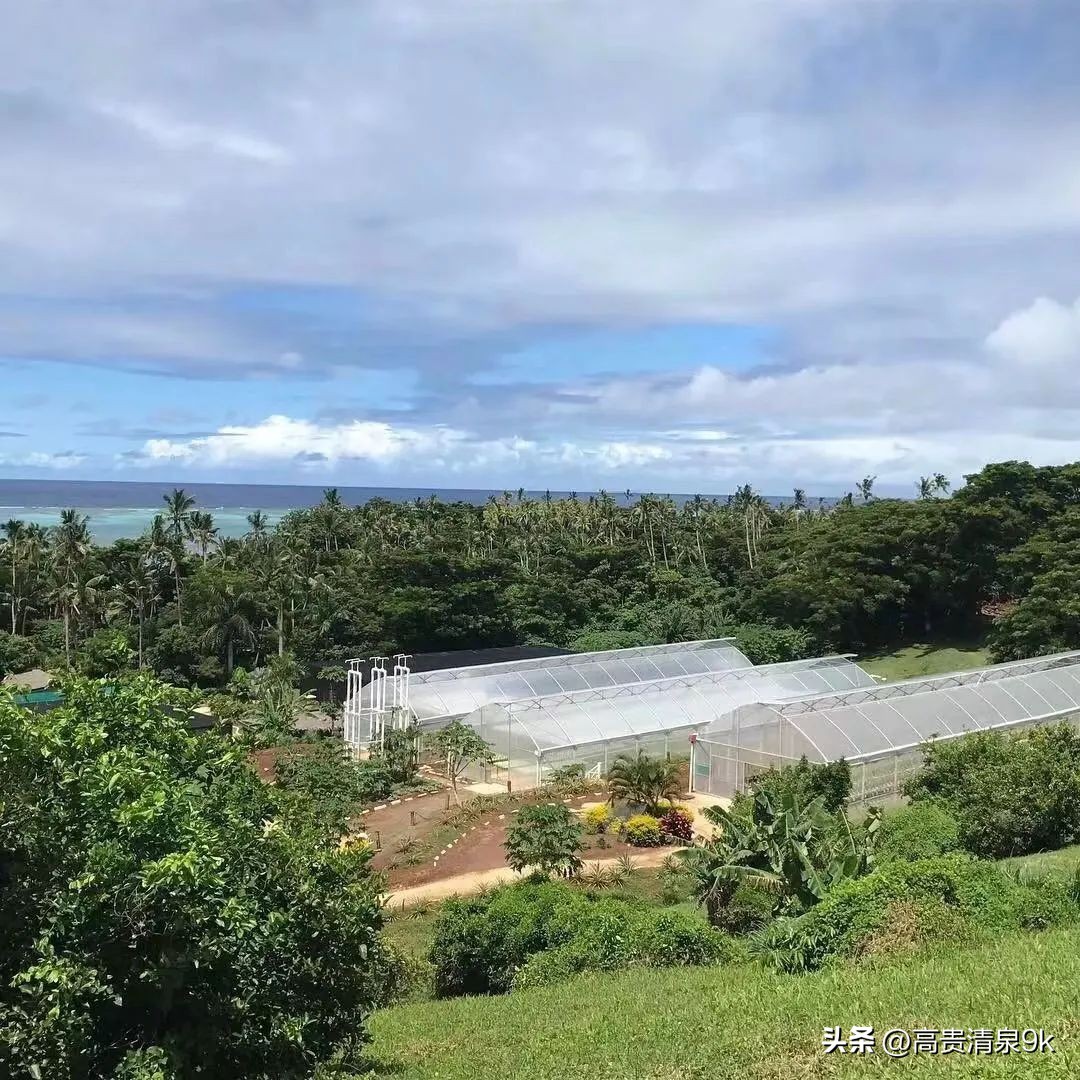 4月1恢复直航，马云刚去过的宝藏免签海岛藏不住了！