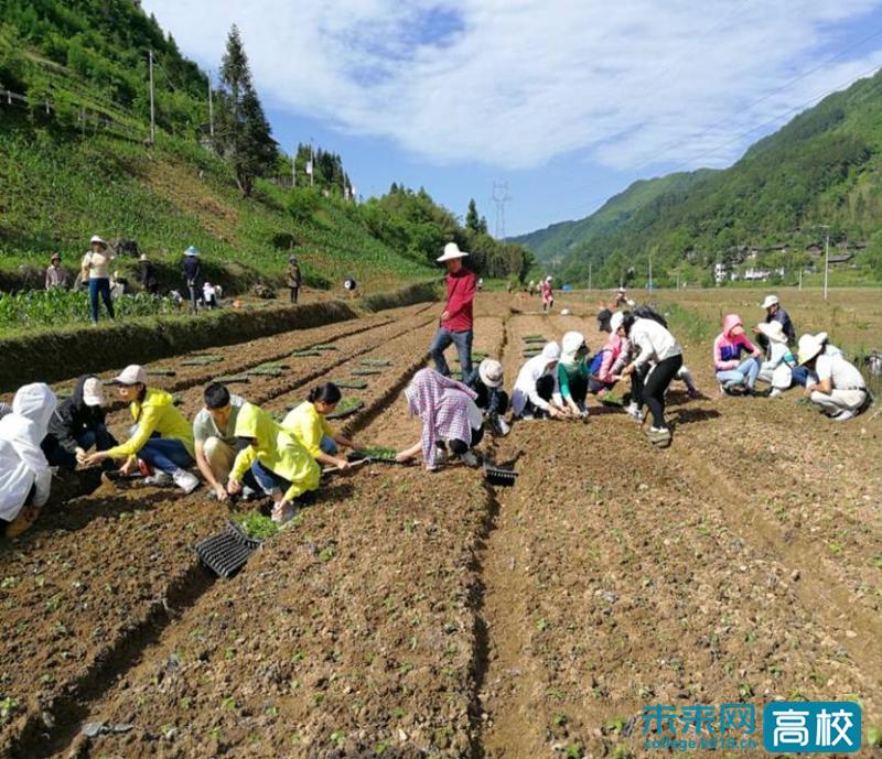 湖北民族大学林学和园艺专业,湖北民族大学园艺林学学院简介