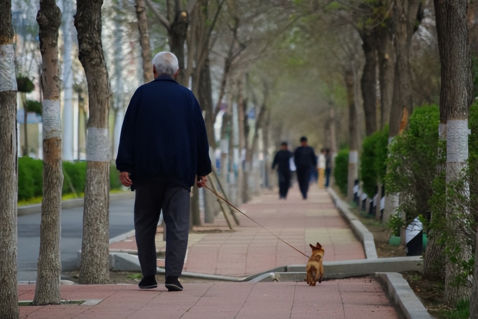 年轻人也可以每天坚持走路锻炼,长期坚持走路对身体有什么好处