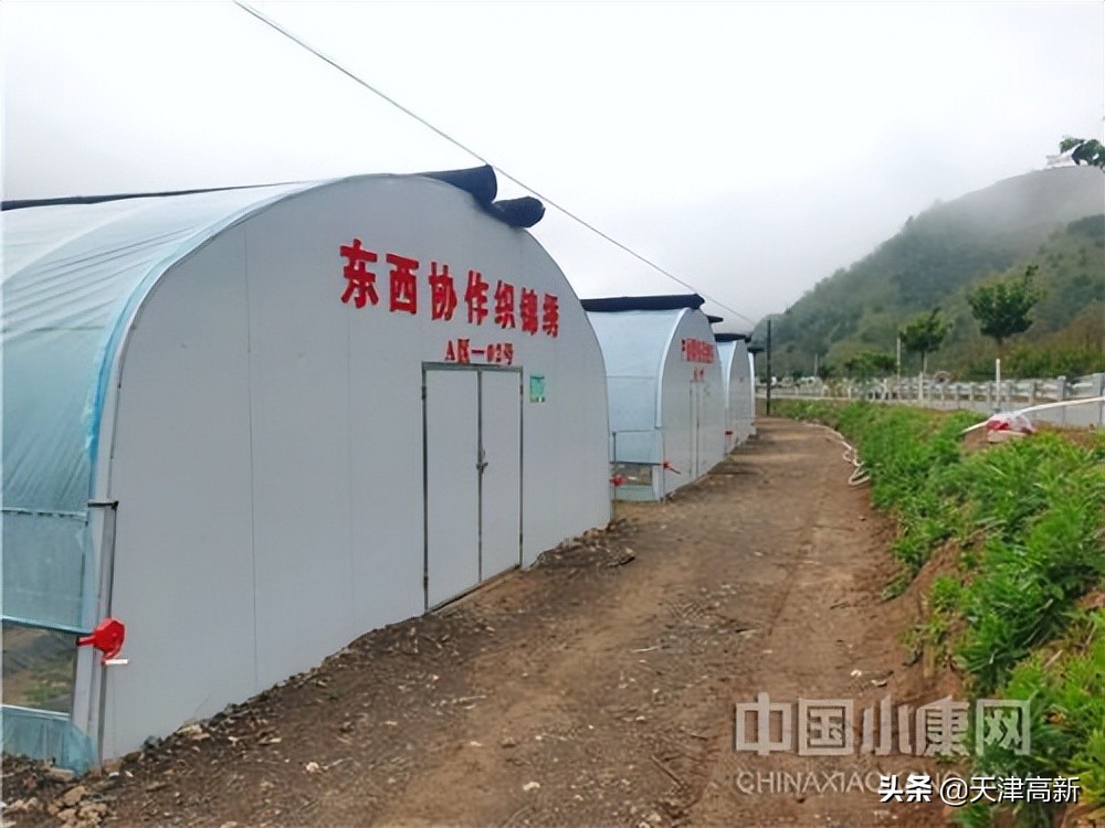 灏忔潙澶т簨鍏嶈垂闃呰,灏忔潙澶т簨