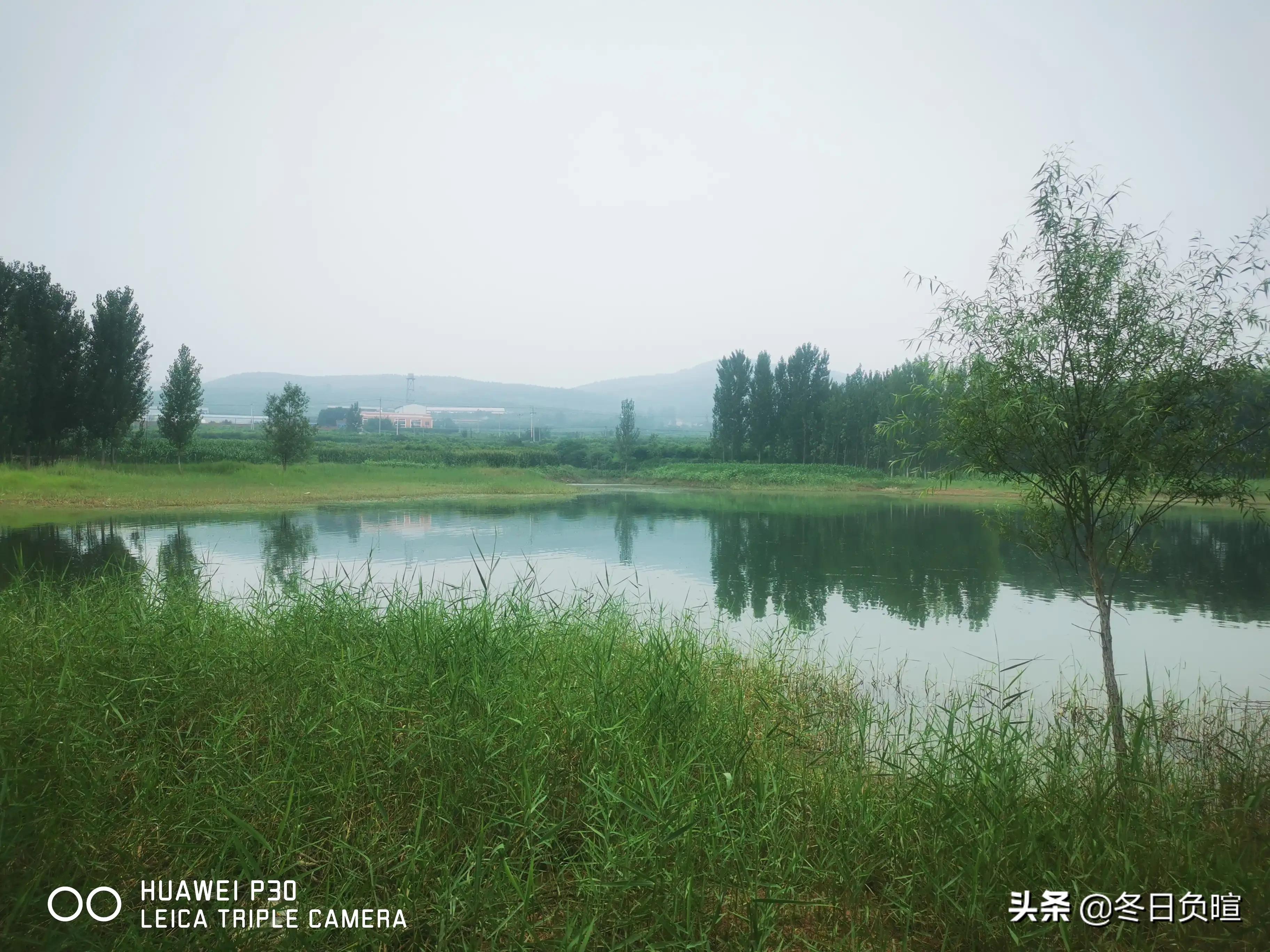 描写风的古诗词201句,描写风大的诗句古诗词