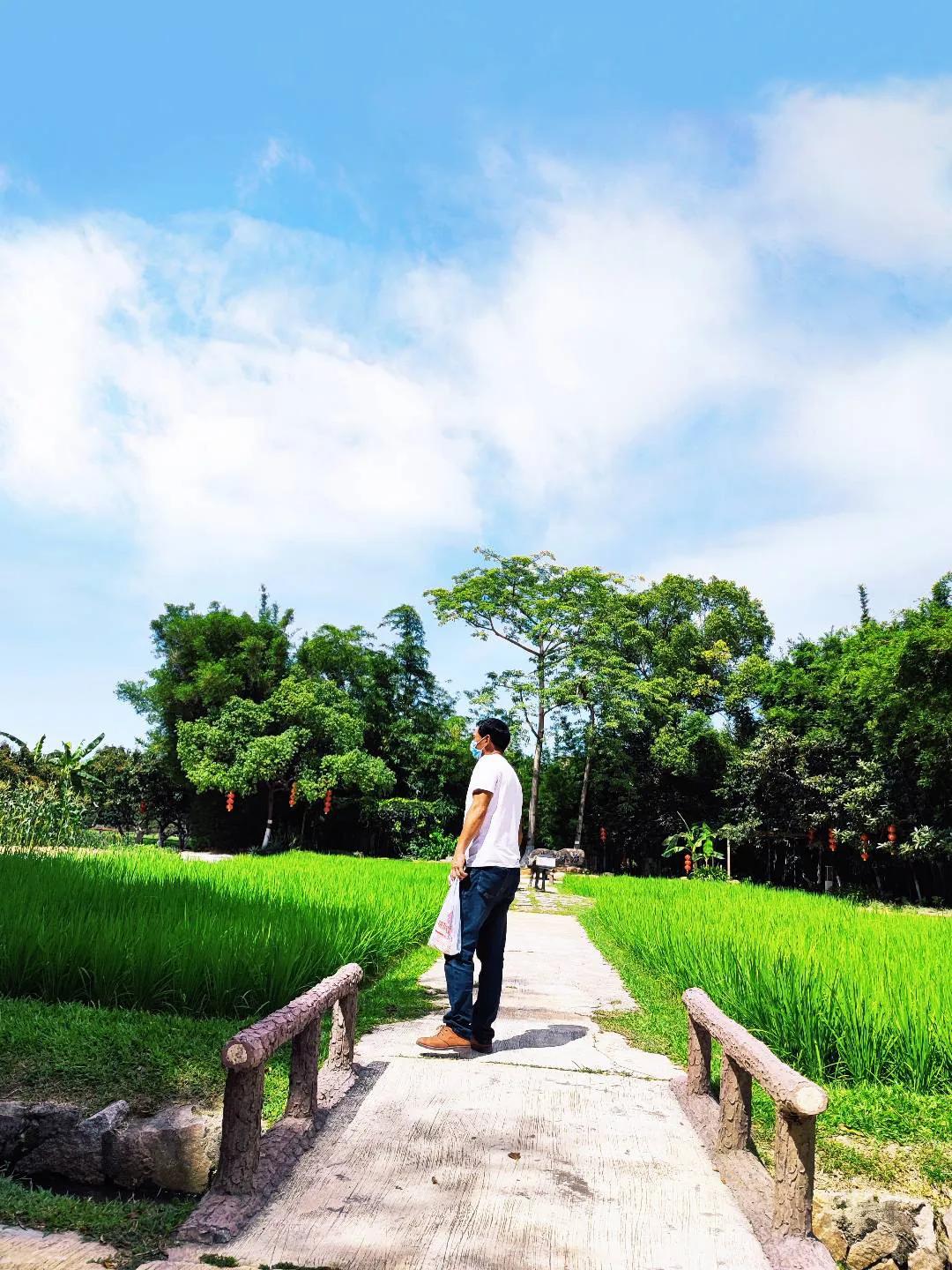 草枕原文,草枕名句