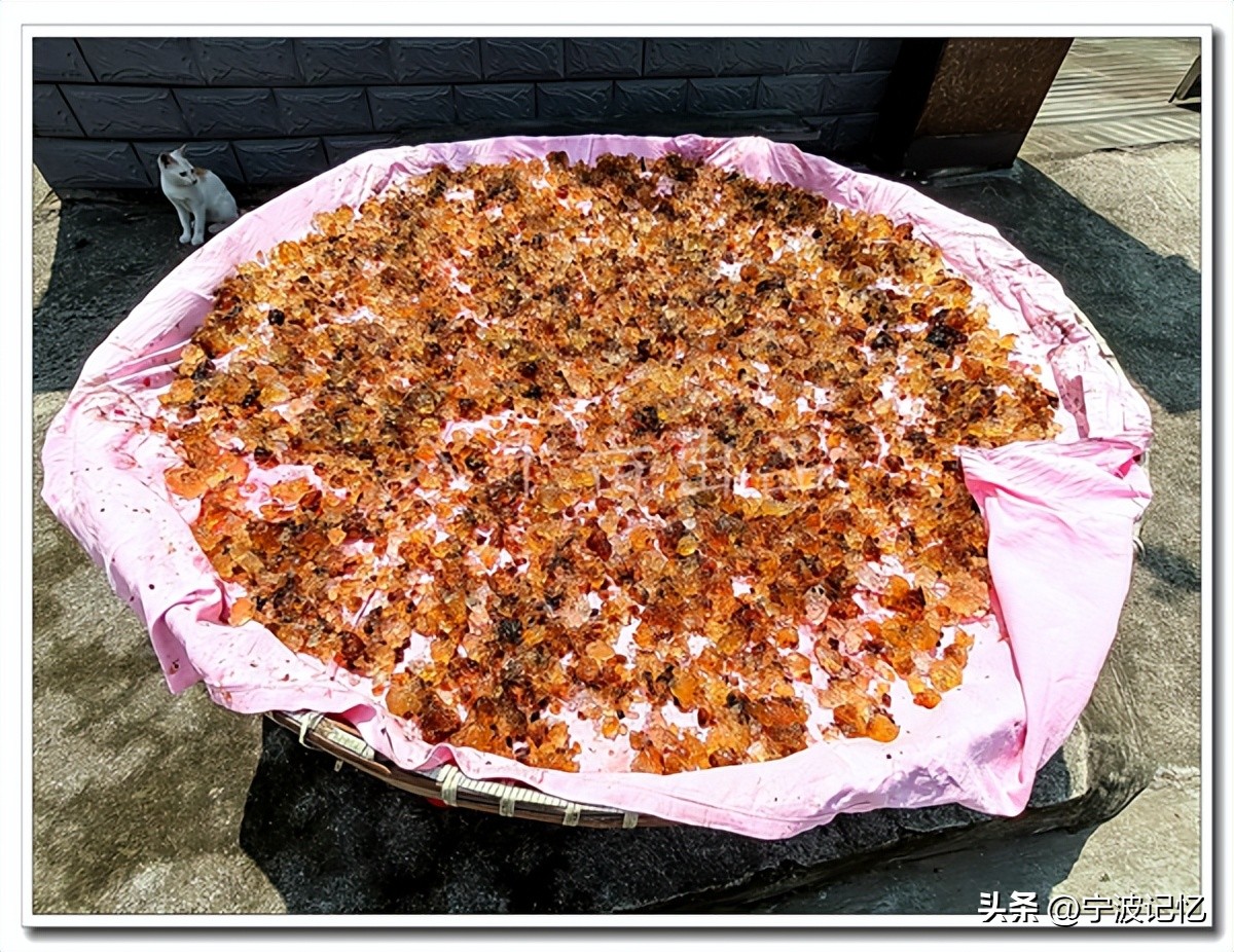 宁波市海曙区龙观乡政府网,宁波市海曙区龙观乡大庄水库