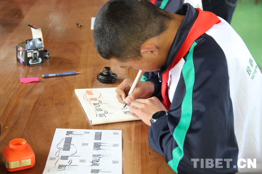 外国人学生来中国参观交流,多国驻华使节参访新疆