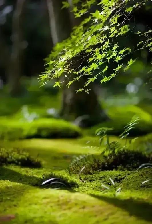 周末股市值得读吗,股市长线法宝下载