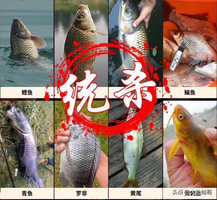 渔具内幕揭秘,渔具店坑人