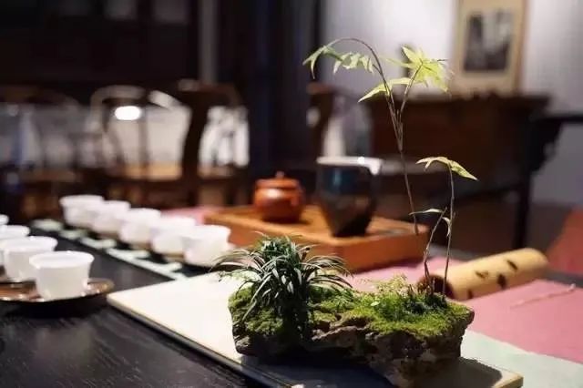 喝茶胃里经常有点恶心,喝茶胃不舒服消化不好