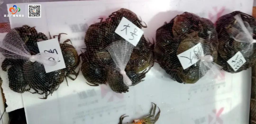 上市价格比预售价格优惠多少,上市价格一般比预售低多少