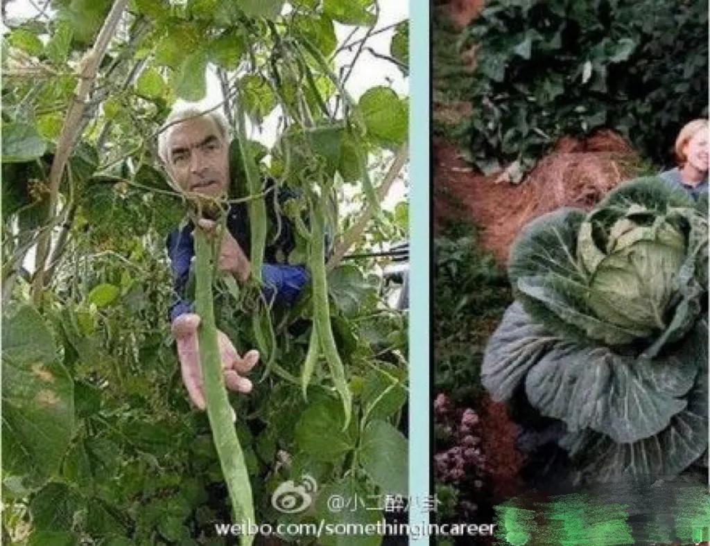 世界奇闻大搜罗,带你看遍全球各种奇闻异事