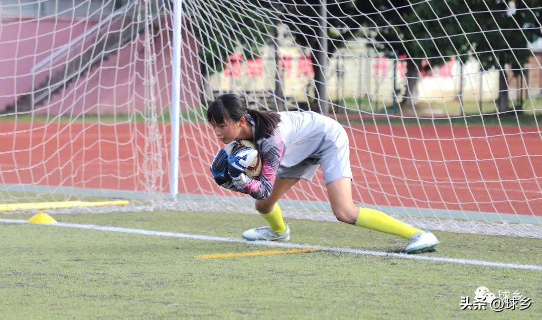 踔厉奋发新起航,踔厉奋发开新局奋楫笃行谱新篇