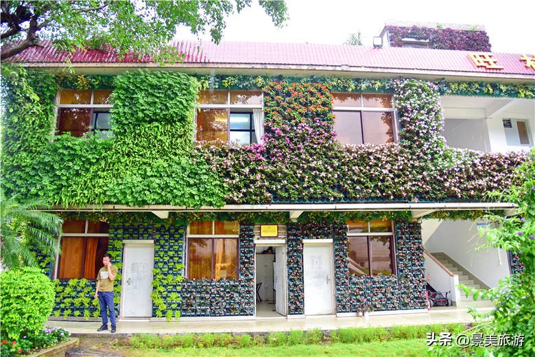 佛山旅游景点攻略,佛山森林公园游玩攻略